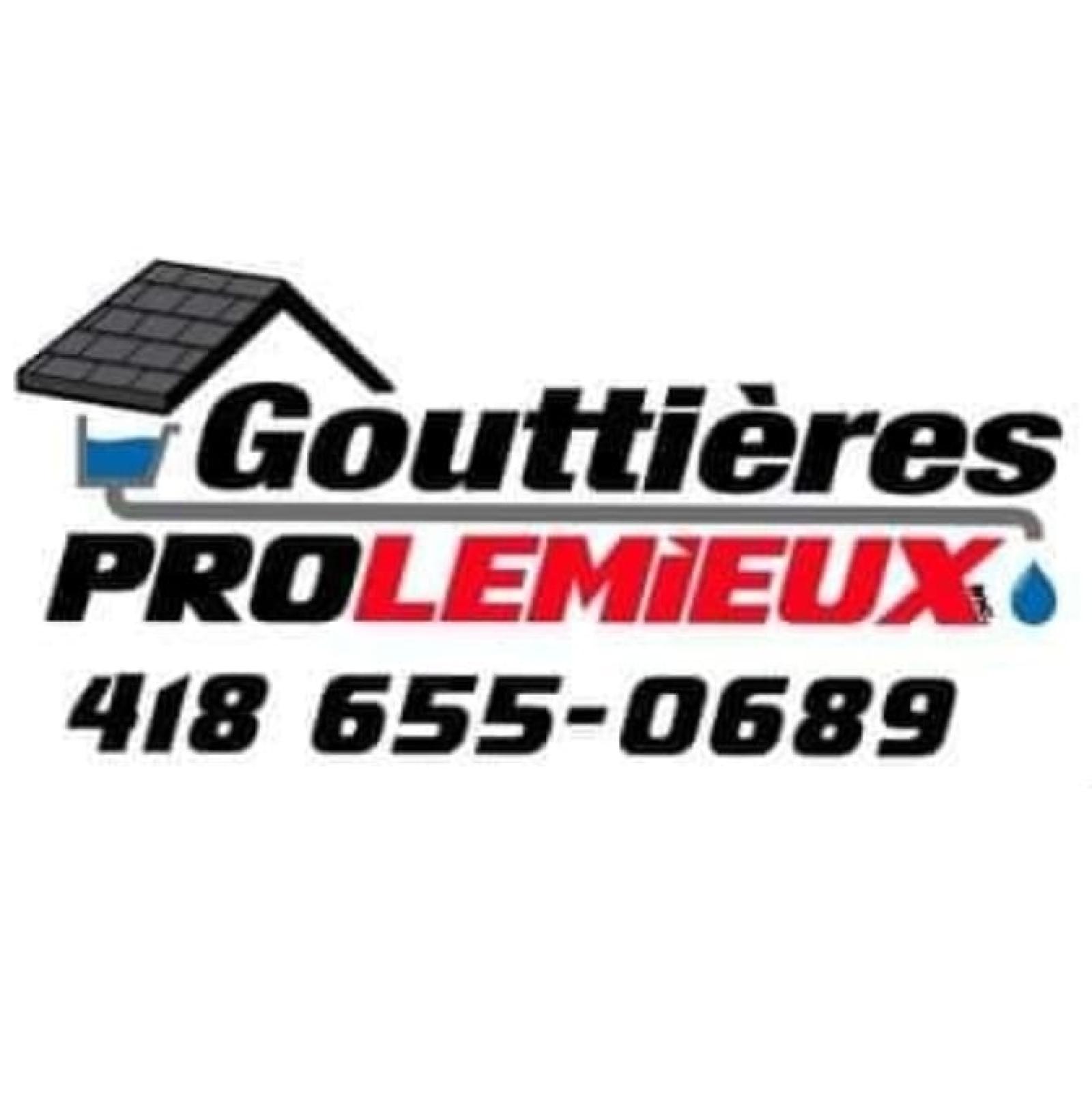 Gouttières pro Lemieux Logo